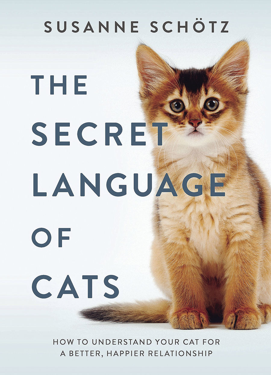 LanguageofCats.jpg